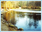 Palanga - Lithuania Tourist Attraction